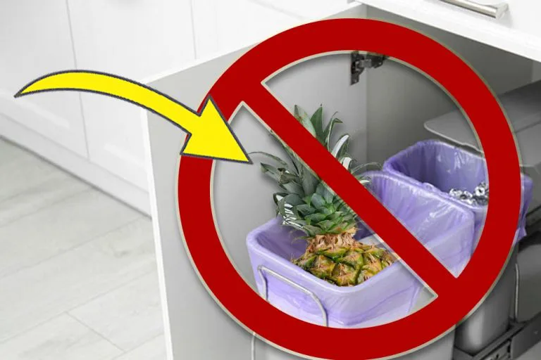 Don't Toss That Pineapple Crown: Here's Why You Should Keep It