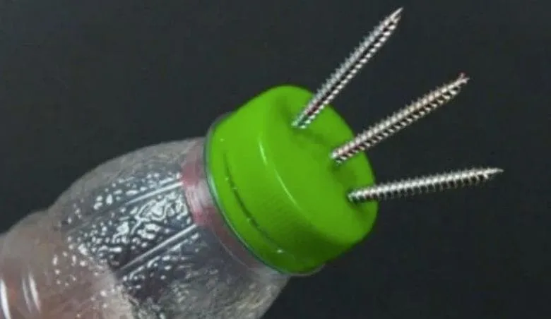 Don't Throw Away Your Plastic Bottles! Discover These Surprising Uses