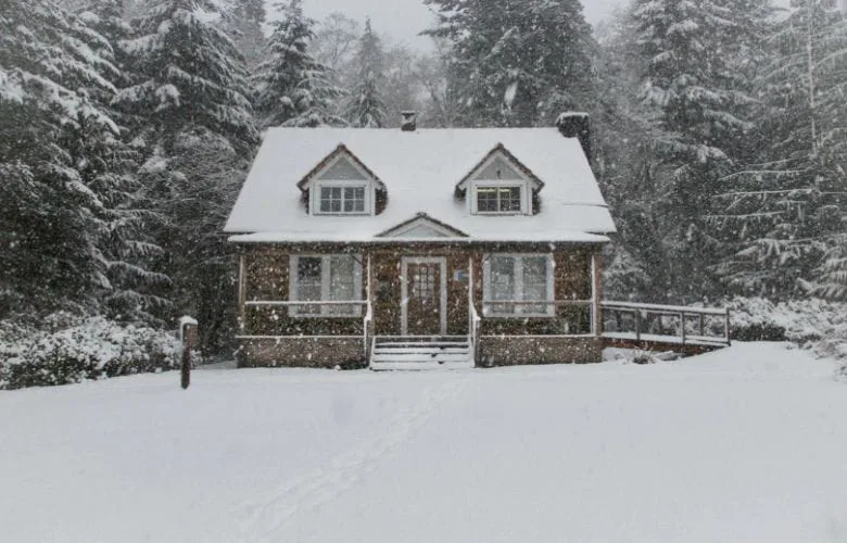 9 Essential Tips to Shield Your Home and Garden from Frost Damage