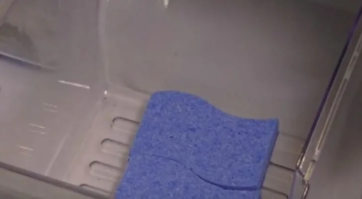 Place a Sponge in Your Fridge and Prepare to Be Amazed! This Hack Is Genius!
