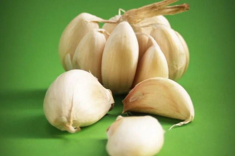 6 Compelling Reasons Garlic Is Great for Your Health