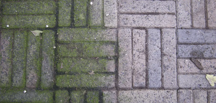 Eliminate Weeds Fast: This Simple Trick Works Wonders!