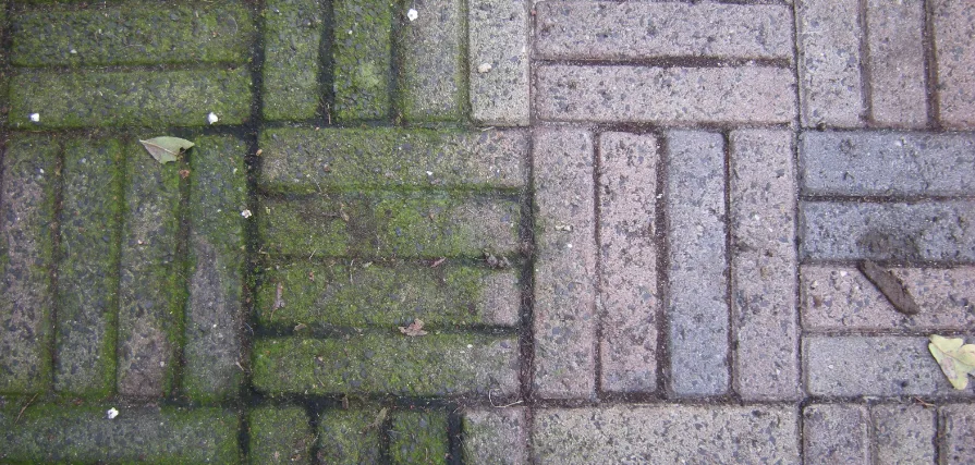 Effortless Way to Remove Green Stains from Patio Tiles – You Have to Try This!