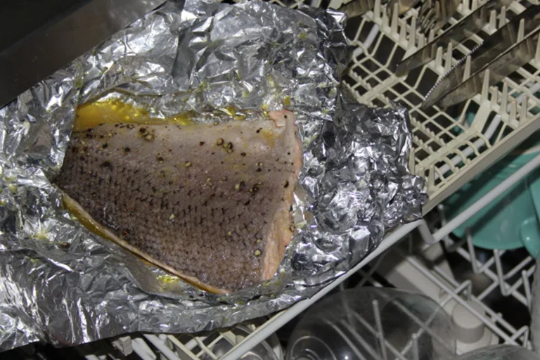 Woman Cooks Raw Salmon in Her Dishwasher – The Astonishing Outcome