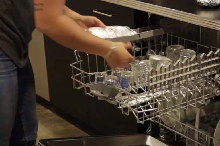 Salmon dishwasher experiment step 2