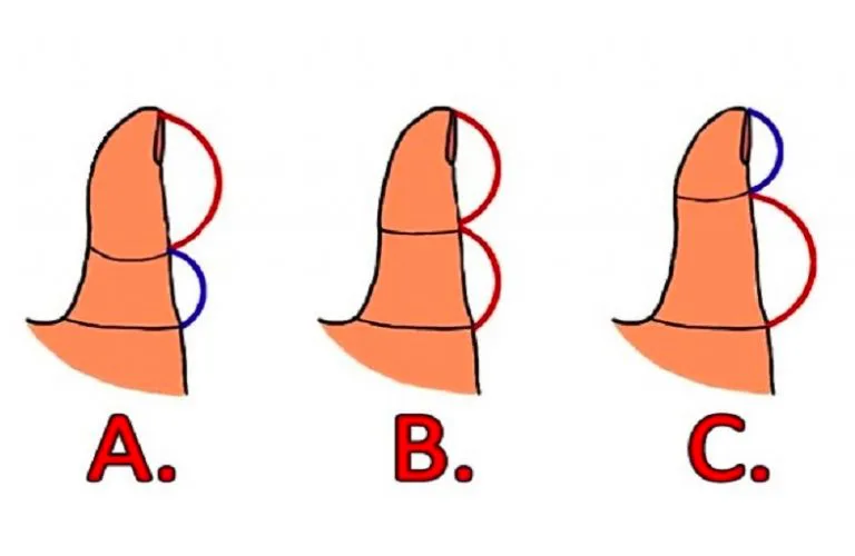 What Your Thumb Size Reveals About Your Personality – Check Yours Now!