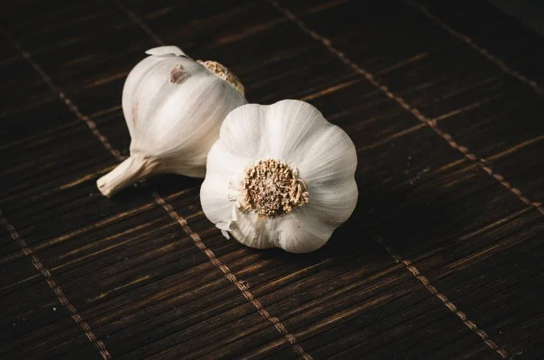 snails
