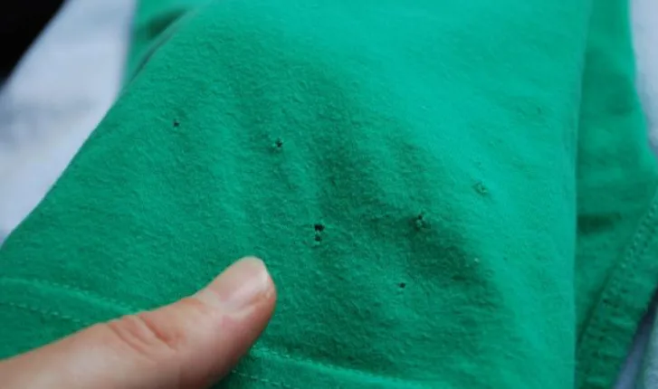 The Real Reason Your T-Shirts Keep Getting Tiny Holes at the Hem
