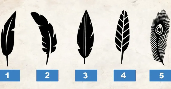 Personality Test: The Feather You Pick Reveals Who You Are