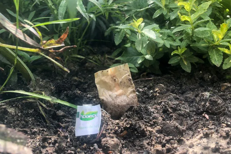 Theezakje tuin