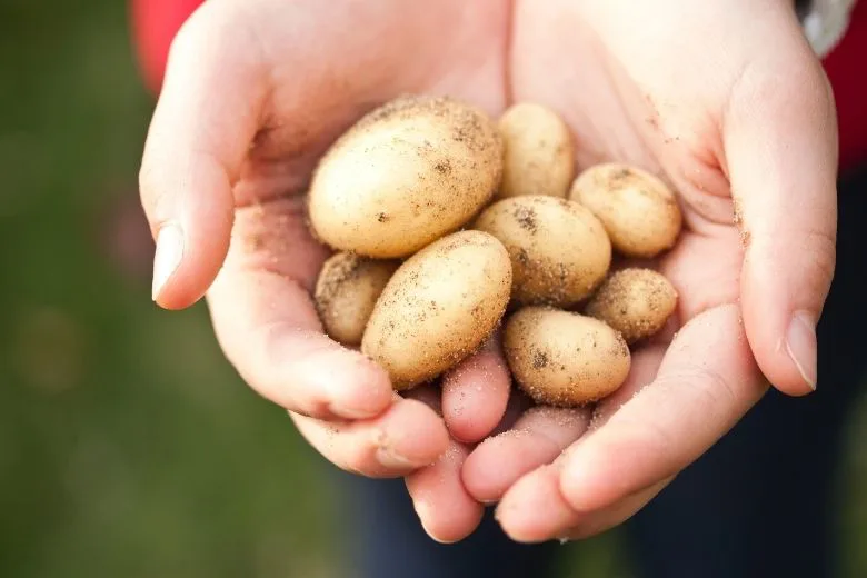 5 Surprising Cleaning Uses for Potatoes