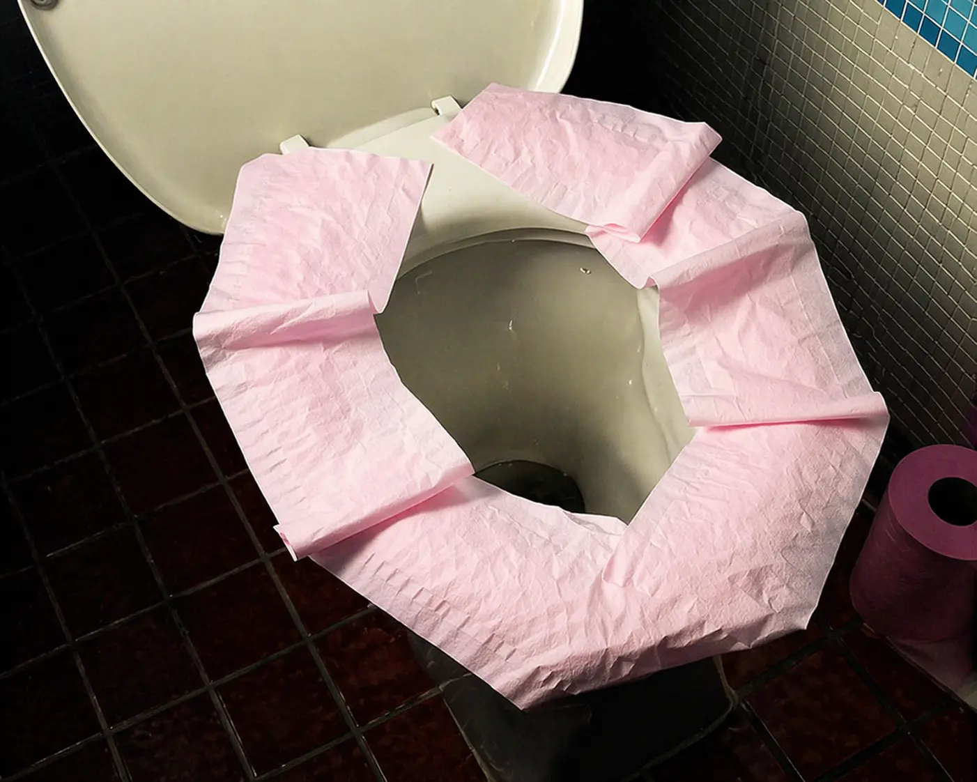 Why Lining the Toilet Seat with Paper May Be Riskier Than You Think