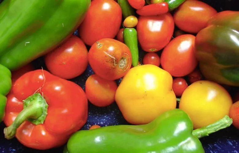 vegetables