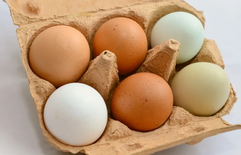 Struggling with a vitamin B12 deficiency? Add these foods to your diet