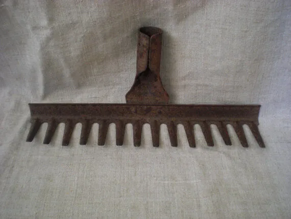 Incredible Transformation: Woman Turns Rusty Rake into Something Amazing!