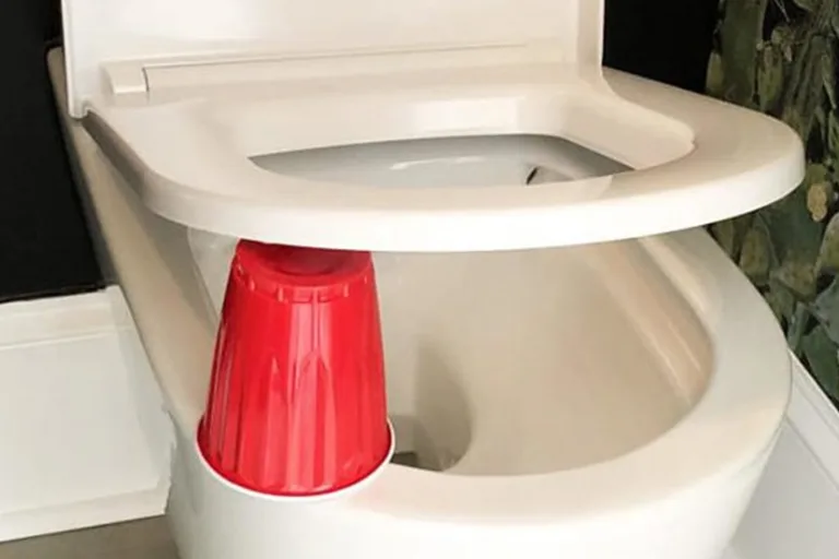The Surprising Reason People Put a Red Cup Under Their Toilet Seat at Night (And Why You Should Too)