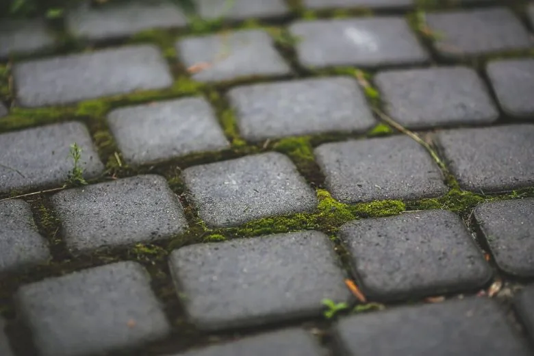 Effective Tricks to Remove Moss from Your Garden and Furniture