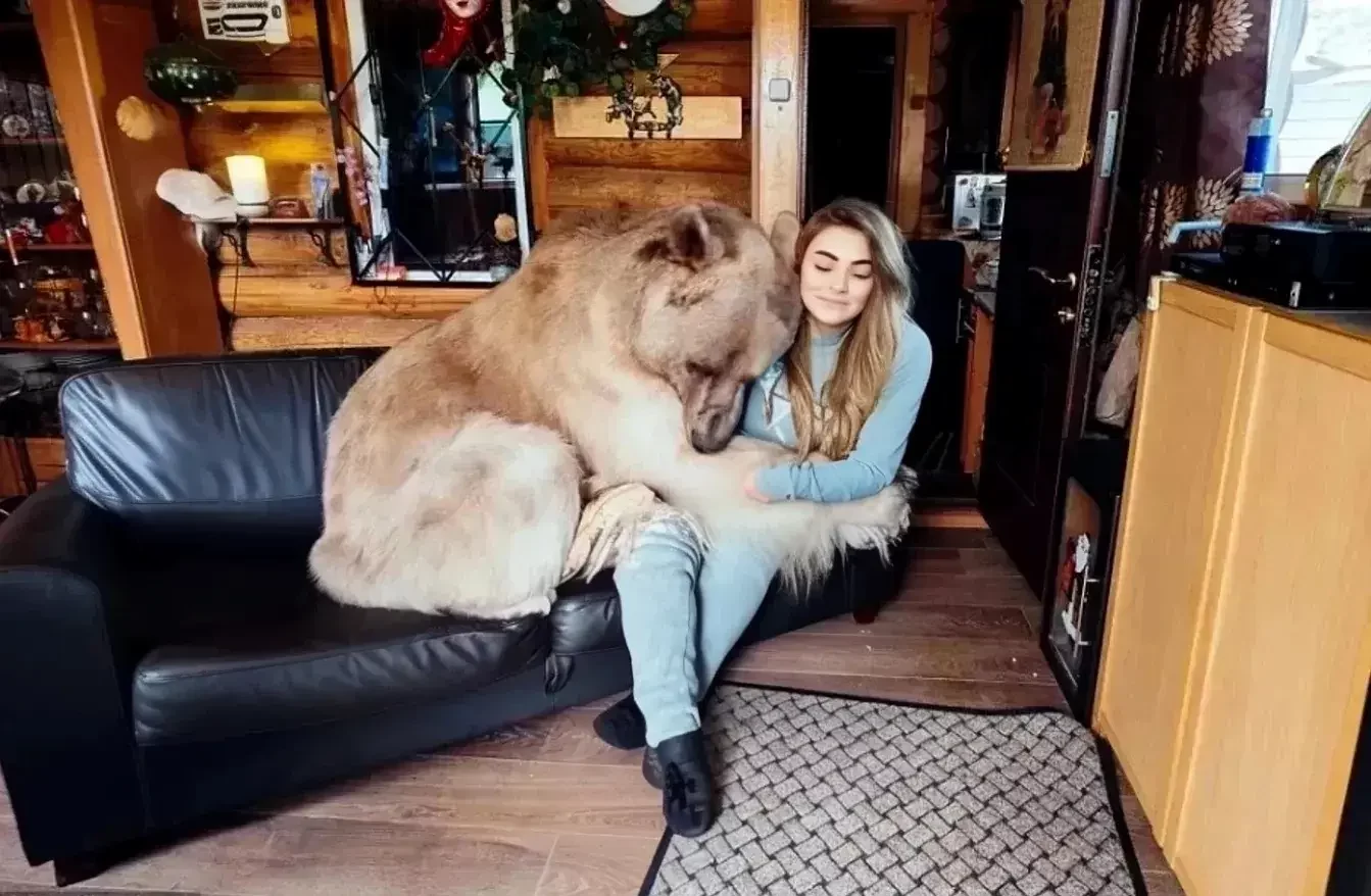 A 21-Year-Old Woman Shares Her Home with a Brown Bear